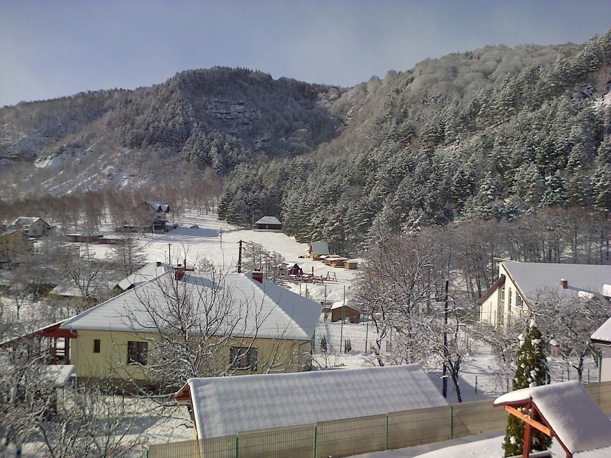 Лоджи Casa Domneasca Байя-де-Фьер-27