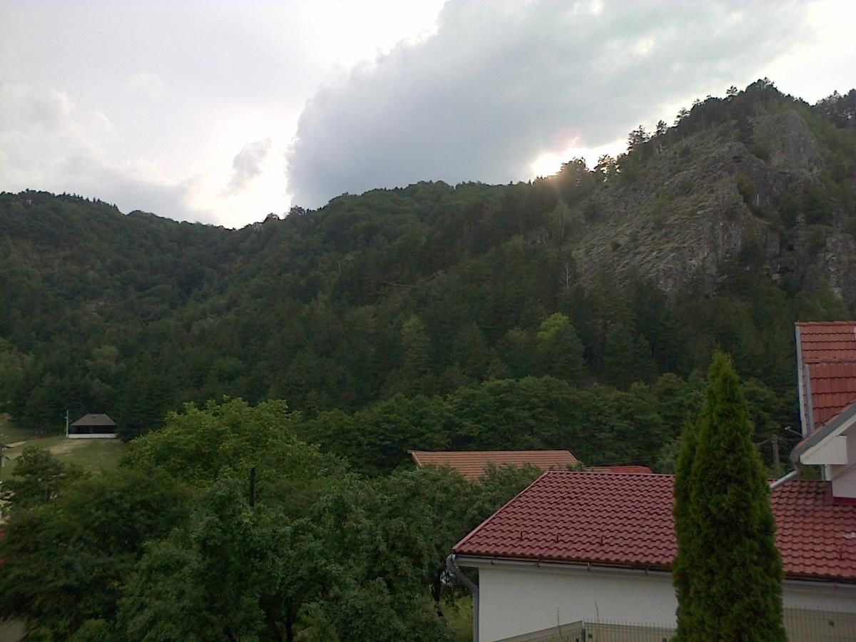 Лоджи Casa Domneasca Байя-де-Фьер