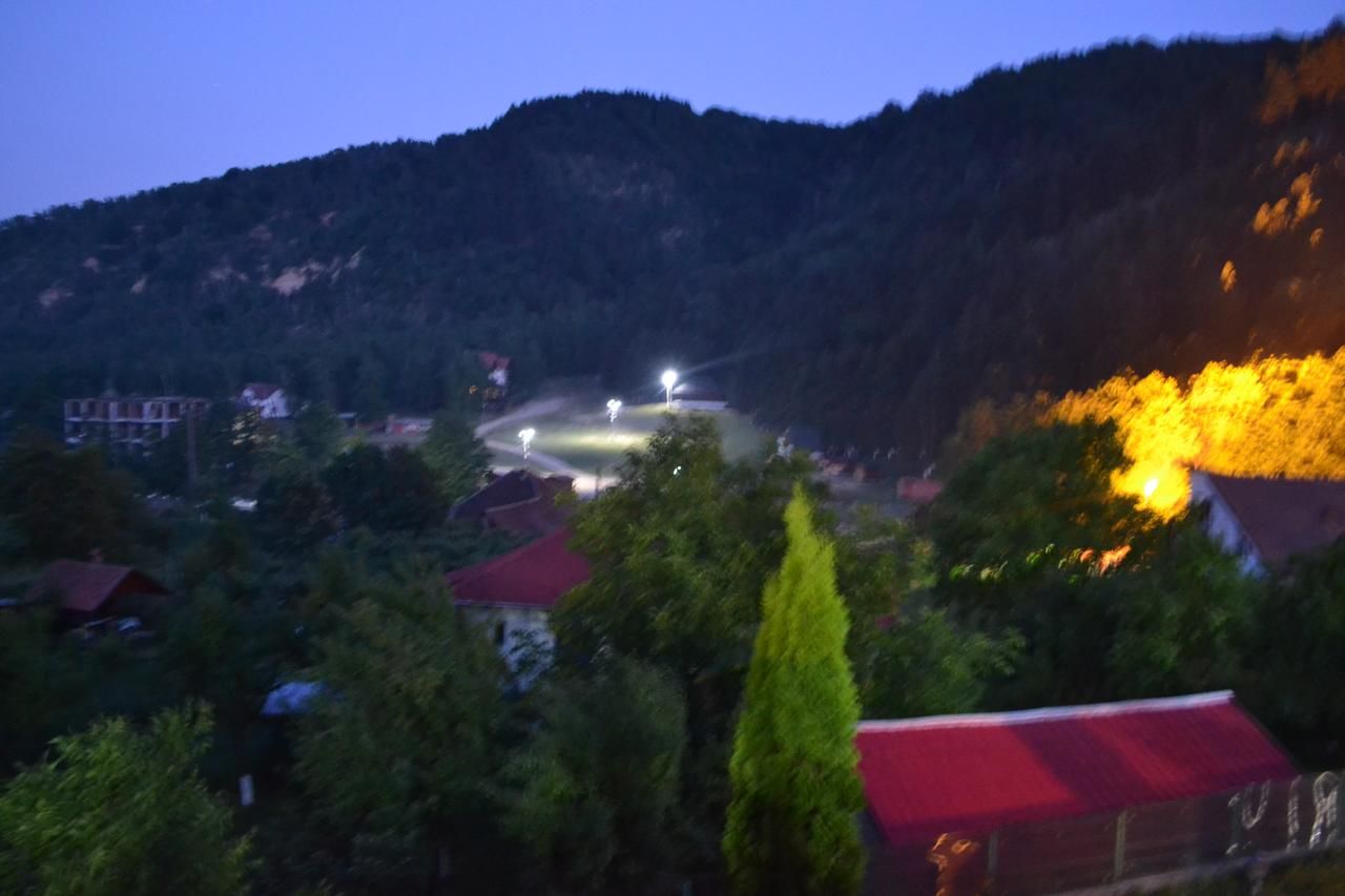 Лоджи Casa Domneasca Байя-де-Фьер-9